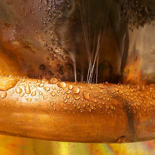 Same Day Le Roy Plumbing Service, drains, septic, trenchless.